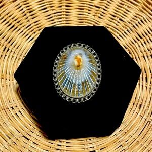 Vintage Opihi Shell Brooch/Pendant